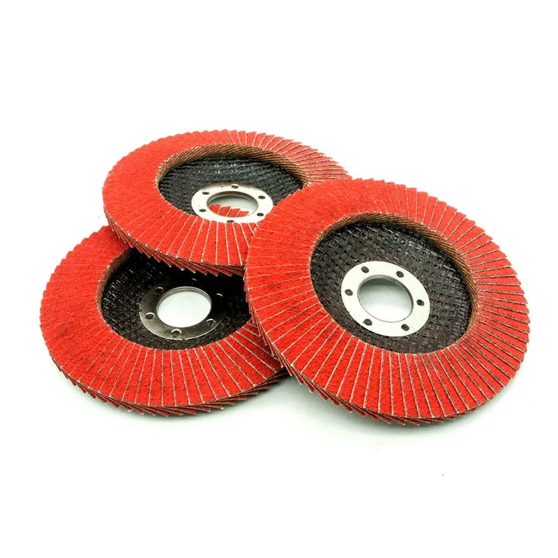 Flap Discs